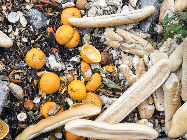 Ứng dụng “chia sẻ thức ăn” giúp giảm lãng phí tại Tây Ban Nha. 