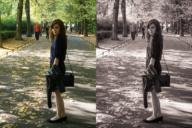 6 thủ thuật giúp bạn chụp ảnh đẹp hơn với mọi thiết bị