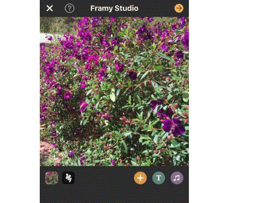 Ứng dụng tạo clip vui trên Android và iOS. 