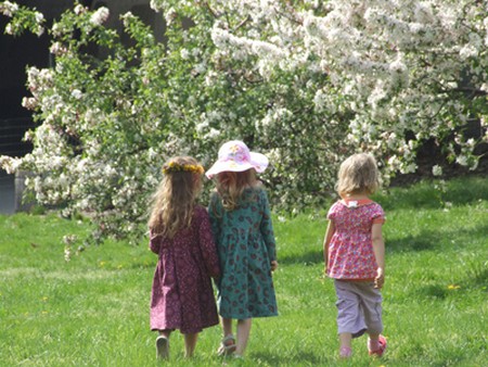 Thủ thuật dễ dàng xóa bỏ những chi tiết không mong muốn trên hình ảnh