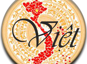 Lịch sử Việt Nam - ứng dụng hữu ích và quan trọng