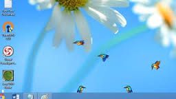 Thư giãn với những chú chim ngộ nghĩnh trên màn hình desktop