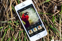 Instagram nâng chất lượng ảnh từ 640 lên 1.080 pixel