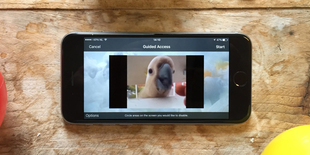 Tính năng hay trên iOS sẽ giúp các phụ huynh trông con dễ hơn bằng điện thoại. 