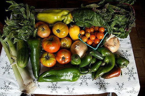 10 ứng dụng siêu đắt trên App Store