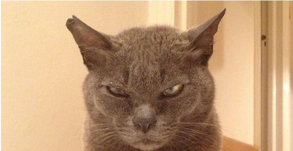 Sử dụng Photoshop biến bất kỳ một tấm ảnh nào thành Poster phim bom tấn