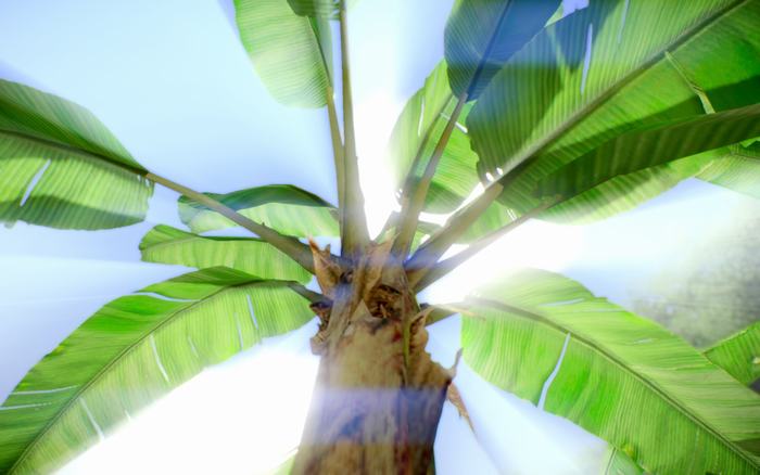 Crysis sau 8 năm ra mắt vẫn đẹp tuyệt vời nhờ mod