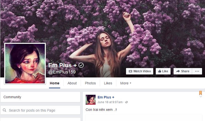 Hàng loạt page ngôn tình bị cộng đồng game thủ chung tay đánh sập