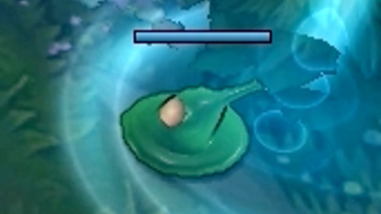 Những tương tác thú vị với phân bào của Zac!