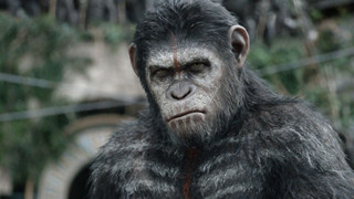 Cốt truyện của bộ phim Planet of the Apes tiếp theo cực kì khốc liệt