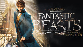 Tác giả Harry Potter xác nhận 5 bộ phim cho Fantastic Beasts