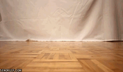 50 trang phục Halloween năm 2016 được tìm kiếm nhiều nhất trên Google