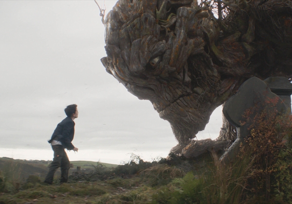 [Theo dòng điện ảnh] Nghệ thuật "thức tỉnh" cây cối trong phim ảnh