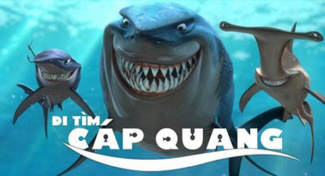 Hết APG lại đến cáp quang biển AAG gặp sự cố bất ngờ