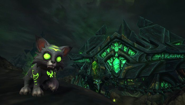 Chú mèo Mischief trong World of Warcraft đã kiếm được hơn 2,5 triệu đô la để làm từ thiện