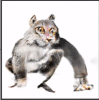 Ung dung tri tue nhan tao loi thanh trao luu tren Internet hinh anh 10