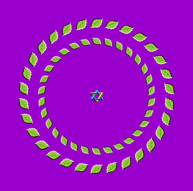 Tổng hợp những hình ảnh gây choáng váng cho những ai nhìn vào