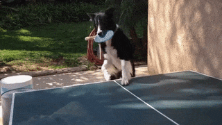 Vui: 15 màn trình diễn bóng bàn không thể chất hơn  15