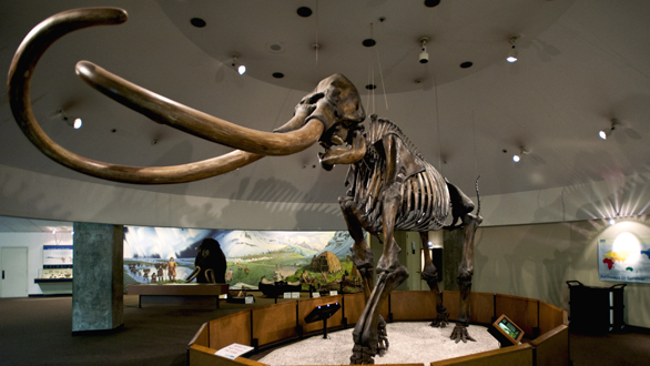 Lưu trữ được một tỉ tỉ byte dữ liệu trong một milimet khối DNA - Microsoft đã sẵn sàng thay thế băng từ truyền thống