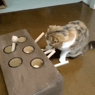 Tổng hợp những món đồ chơi cực hay dành cho trẻ em nhân ngày Quốc Tế Thiếu Nhi 15