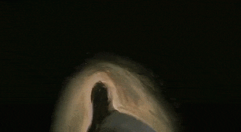 10 bí mật chưa từng được hé lộ về logo của các hãng phim nổi tiếng Hollywood 10