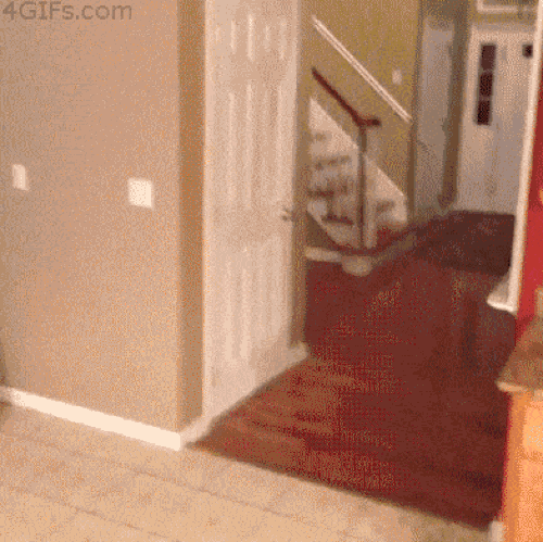 16 pha chơi khăm thảm họa và cái kết không thể đắng hơn 5