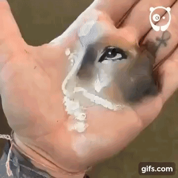 Bàn tay ma thuật có thể tạo ra nhiều tác phẩm nghệ thuật tuyệt đẹp 4