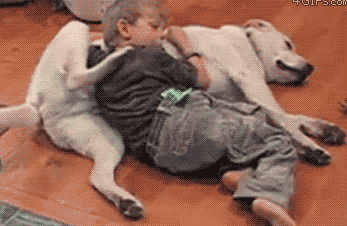 Tổng hợp 14 em cún bảo mẫu tuyệt vời của năm