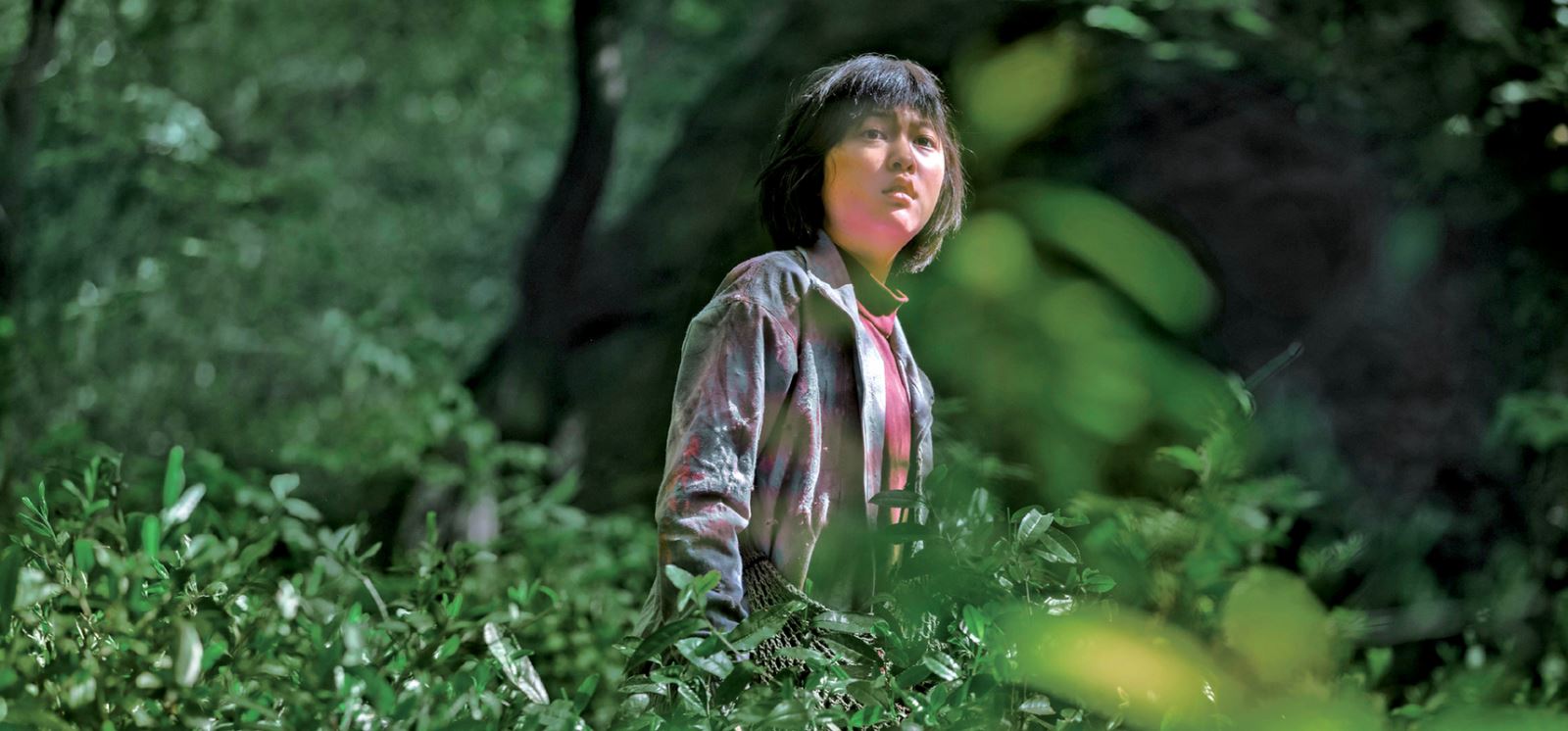 "Okja" - Tác phẩm dưới sức của Bong Joon-ho