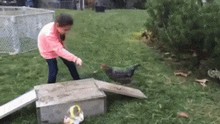 15 pha tổ lái vượt chướng ngại vật siêu đẳng 10