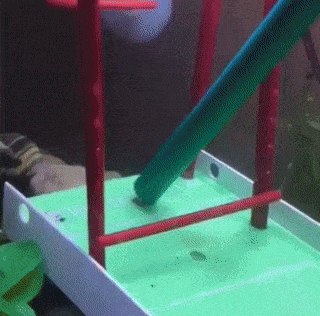 15 pha tổ lái vượt chướng ngại vật siêu đẳng 6