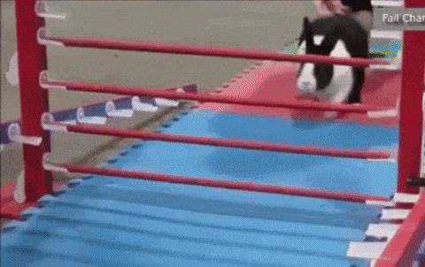 15 pha tổ lái vượt chướng ngại vật siêu đẳng 15