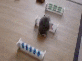 15 pha tổ lái vượt chướng ngại vật siêu đẳng 2