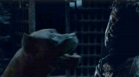 Những cái chết gây sốc nhất qua 6 mùa “Game of Thrones” 13