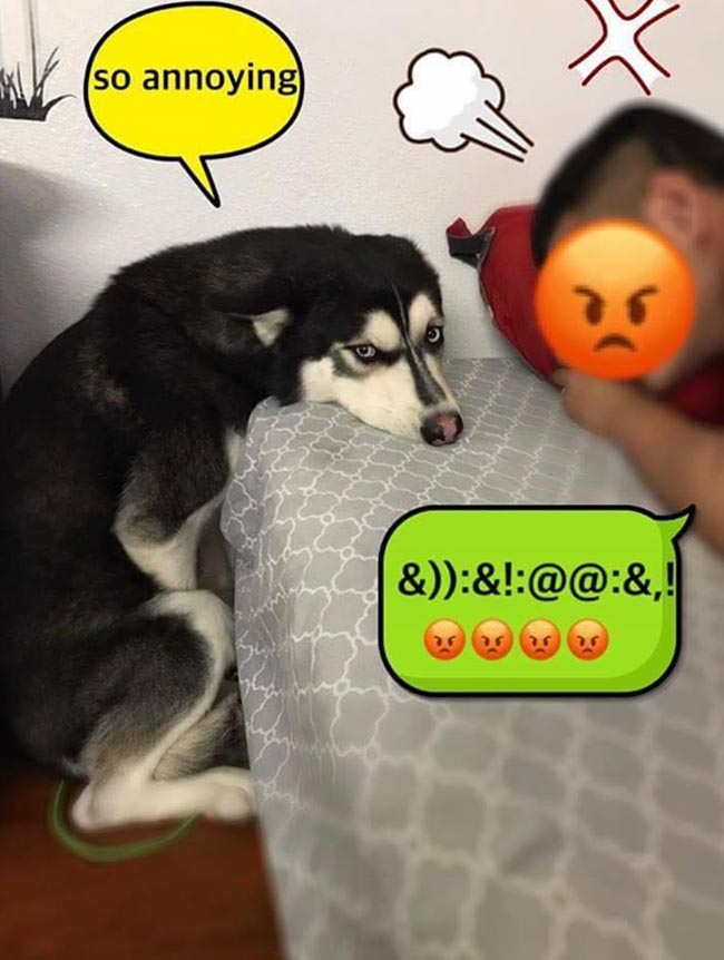 Mệt mỏi với thái độ “lồi lõm” của lũ boss khi bị ăn mắng