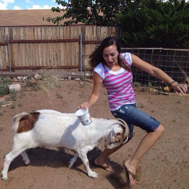 20 khoảnh khắc mang chụp đúng lúc và mang tính dìm hàng cực cao