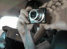 16 con vật hổ báo không nể nang bất kì ai 8