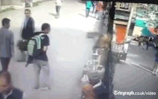 16 con vật hổ báo không nể nang bất kì ai 12