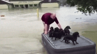 14 cảnh tượng cười ra nước mắt mỗi khi trời mưa bão ập về 9