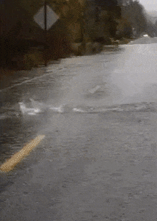 14 cảnh tượng cười ra nước mắt mỗi khi trời mưa bão ập về 6