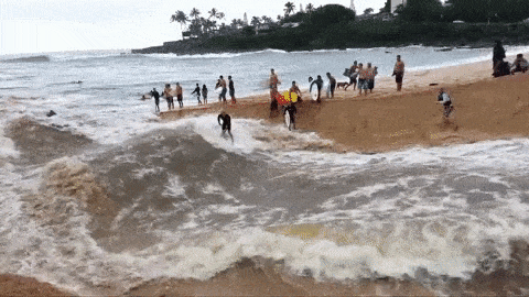 14 cảnh tượng cười ra nước mắt mỗi khi trời mưa bão ập về 8