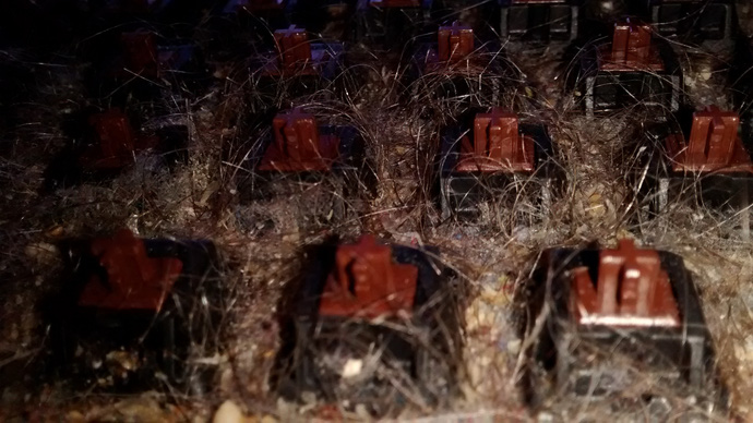 Cận cảnh bàn phím 6 năm không vệ sinh của một nam game thủ khiến ai cũng phát hoảng