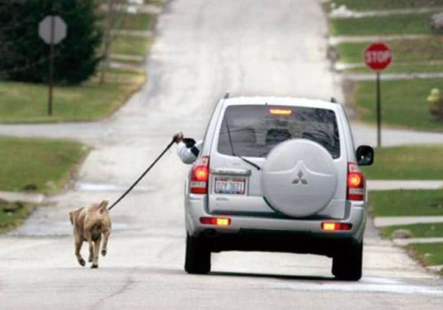 18 thánh lười của năm khiến bạn cảm thấy không thể nào buồn cười hơn nữa