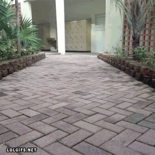 14 kết cục buồn cười mà không ai ngờ tới 4