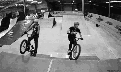 14 pha phối hợp siêu ăn ý đến từng chi tiết của những thánh nhoi 12