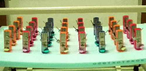 14 pha phối hợp siêu ăn ý đến từng chi tiết của những thánh nhoi 10