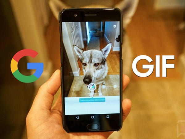 Motion Stills - Ứng dụng ghép ảnh GIF siêu nhanh do Google phát triển