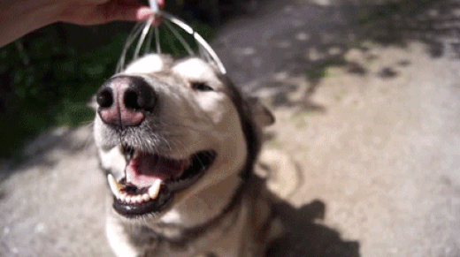 Nó lấy đồ nhà bếp ra phá, người bố cầm món đồ bị hại đập vào đầu nó, và nó phê ngay tại chỗ.