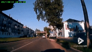 15 pha cứu nguy kịp thời của các ông bố có phản xạ của siêu nhân