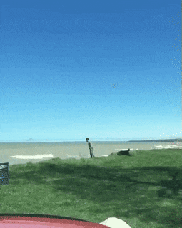 15 pha cứu nguy kịp thời của các ông bố có phản xạ của siêu nhân 15